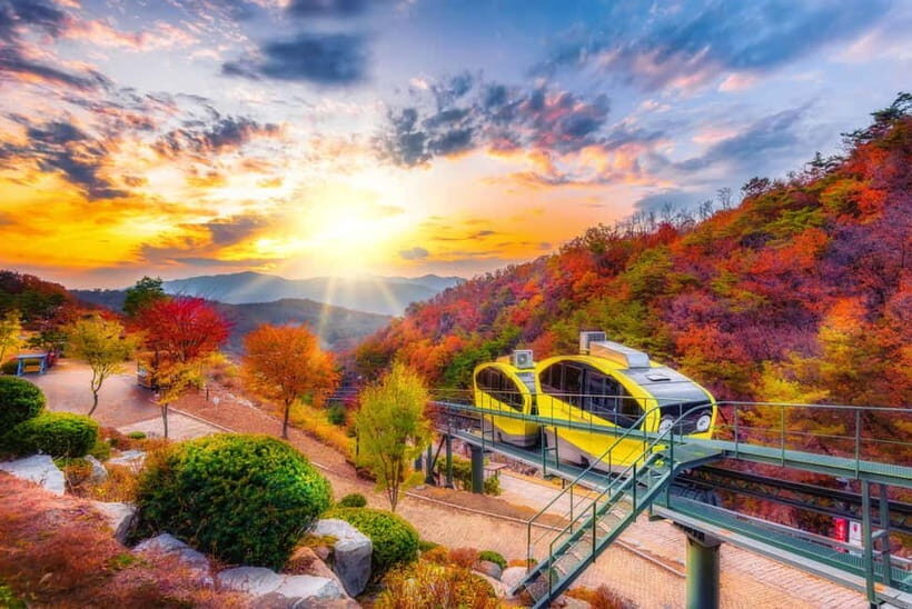 Seoul: Pocheon Art Valley, Garden and Fruit Picking Day Tour - The Value of This Tour