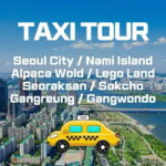 Seoul: Private Taxi Tour Car Charter - Nami Alpaca Seorak - What Does the Tour Cover?