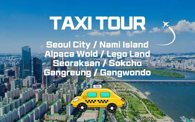 Seoul: Private Taxi Tour Car Charter - Nami Alpaca Seorak - What Does the Tour Cover?