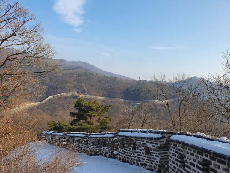 Seoul: Royal Tombs & Namhansanseong Fortress Tour - What Makes This Tour Stand Out?