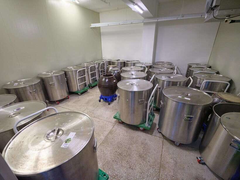 Seoul: Soju Tasting at Distillery - Who Will Love This Experience?