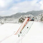 Seoul: Vivaldi Park Winter Ski with Eobi Ice Valley Day Tour - What to Expect During Your Day