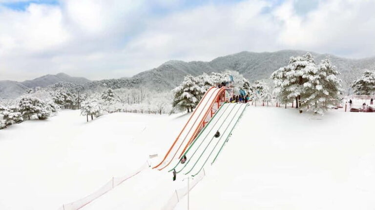 Seoul: Vivaldi Park Winter Ski with Eobi Ice Valley Day Tour - What to Expect During Your Day