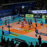Seoul: Watching Sports Match & Local Food Experience - Who Will Love This Experience?