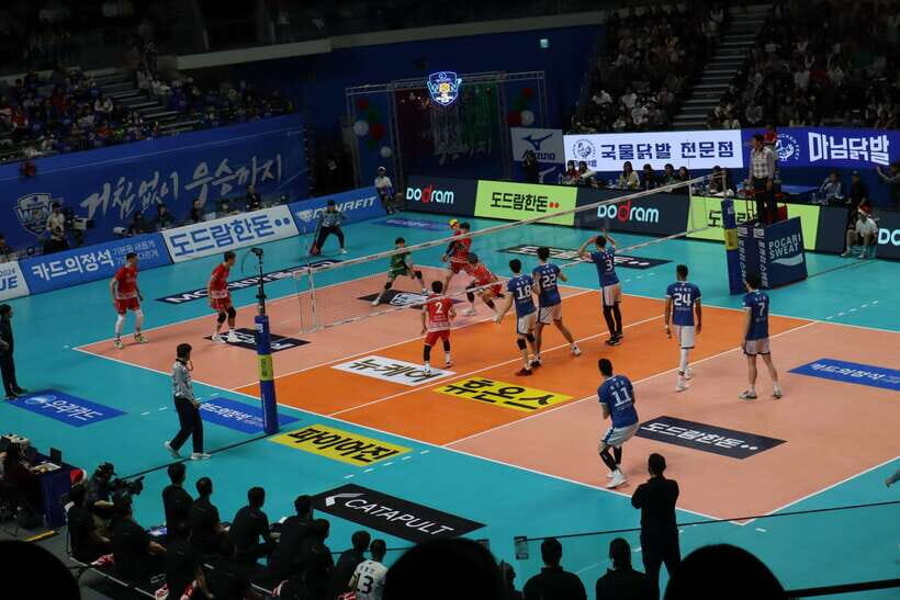 Seoul: Watching Sports Match & Local Food Experience - Who Will Love This Experience?