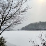 Seoul: Winter Day Tour in Pocheon with Strawberry Picking - An In-Depth Look at the Tour Experience