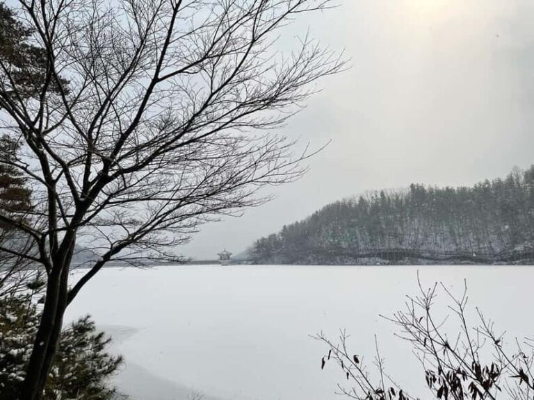 Seoul: Winter Day Tour in Pocheon with Strawberry Picking - An In-Depth Look at the Tour Experience