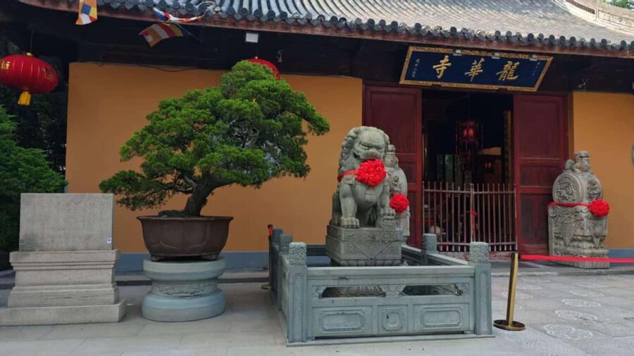 Shanghai: 4-Hour Private Customizable Highlights Tour - Who is this tour best for?