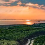 Shanghai: Chongming Island Private Tour with Lunch - What Reviewers Say