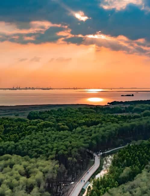 Shanghai: Chongming Island Private Tour with Lunch - What Reviewers Say