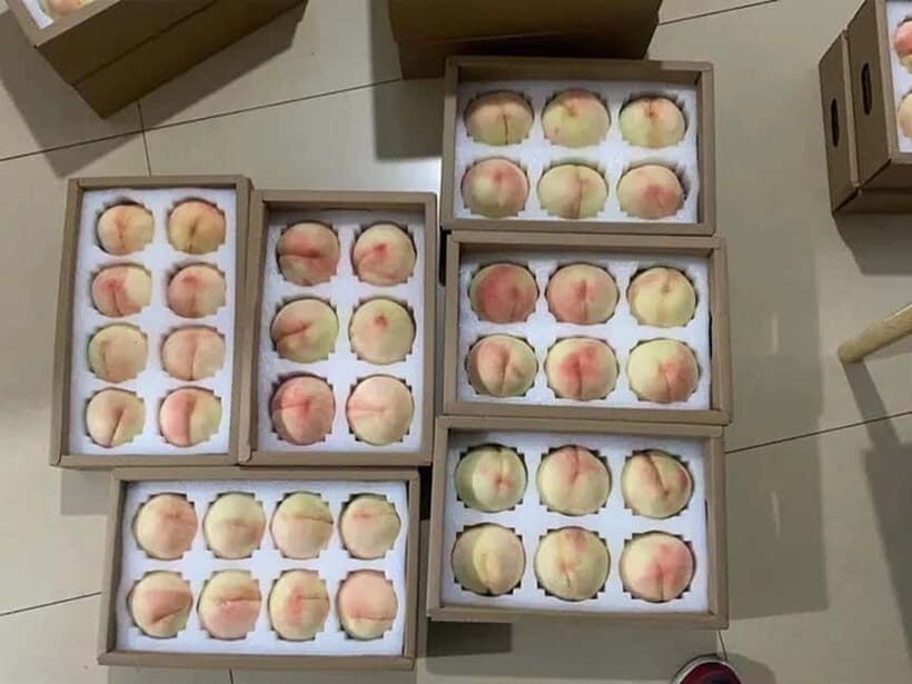 Shanghai: Delicate Seasonal Fruits and Picking Experience - Who Should Consider This Tour?