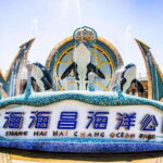 Shanghai: Haichang Ocean Park Adult Ticket - Ticket Value and Practical Tips