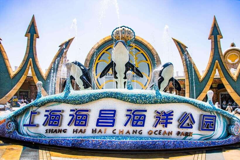 Shanghai: Haichang Ocean Park Adult Ticket - Ticket Value and Practical Tips