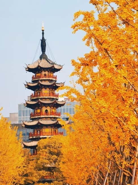 Shanghai: Longhua Temple Buddhist tour with local expert - Who Will Benefit Most From This Tour?