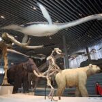 Shanghai: Yu Garden, City God Temple & River Cruise Tour - Detailed Breakdown of the Itinerary