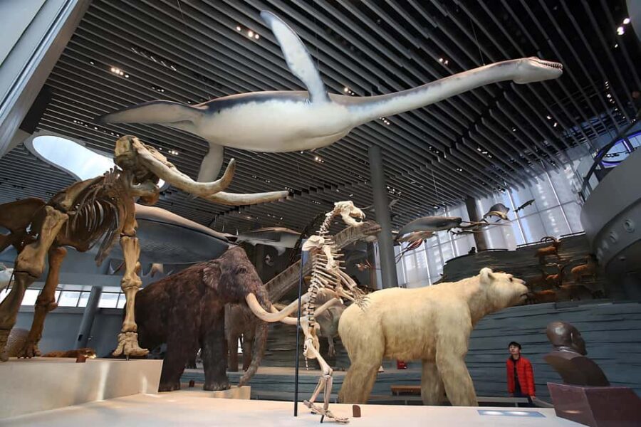 Shanghai: Yu Garden, City God Temple & River Cruise Tour - Detailed Breakdown of the Itinerary