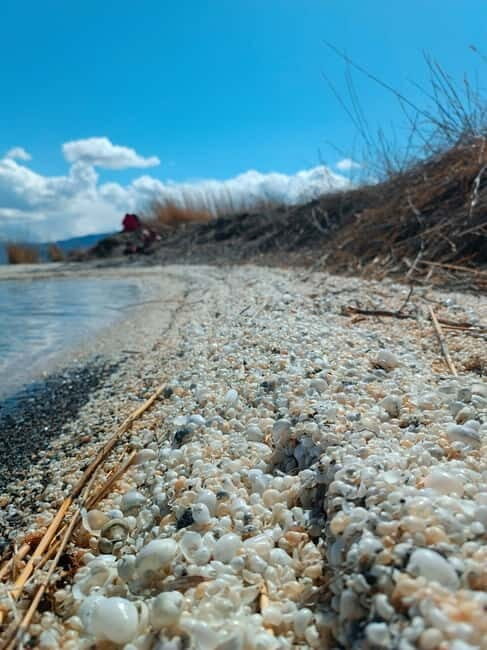 Shell beach Turtle head and Kok-Moinok canyons - The Sum Up