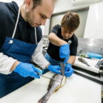 Shima: Standard Fish Shop Tour & Workshop - Who Should Consider This Experience?