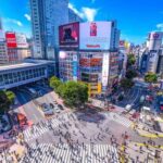 Shinjuku: Tokyo in High Definition - Walking Tour - What to Expect: Practical Details & Experience
