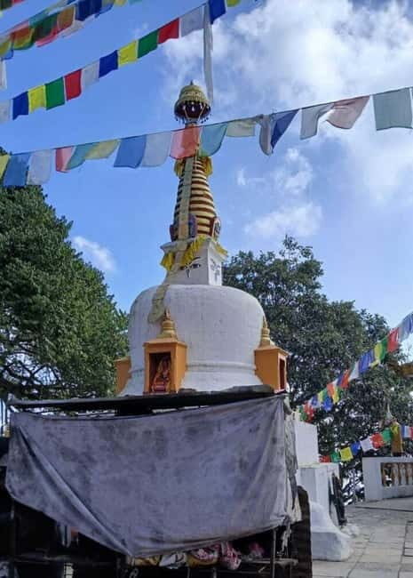 Shivapuri Nagarjun: Half-Day Hiking to Jamacho Gumba - The Trek Itself: What You Can Expect