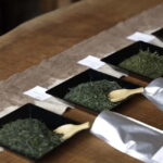 Shizuoka: Japanese Tea Tour with Tasting and Tea Making - What’s Included and What to Keep in Mind