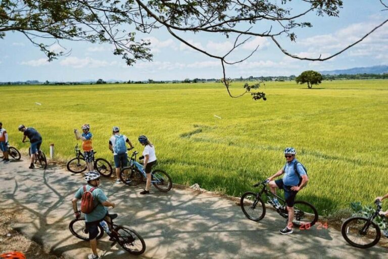 Shore Excursion Cycling from Phu My Port - Who Should Consider This Tour?