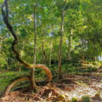 Siem Reap: Angkor Temples Off the beaten track Photo Trip - An Introduction to the Off-the-Beaten-Track Adventure