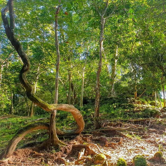 Siem Reap: Angkor Temples Off the beaten track Photo Trip - An Introduction to the Off-the-Beaten-Track Adventure