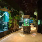 Siem Reap: Angkor Wildlife & Aquarium Entrance Ticket - What Is the Angkor Wildlife & Aquarium Experience?