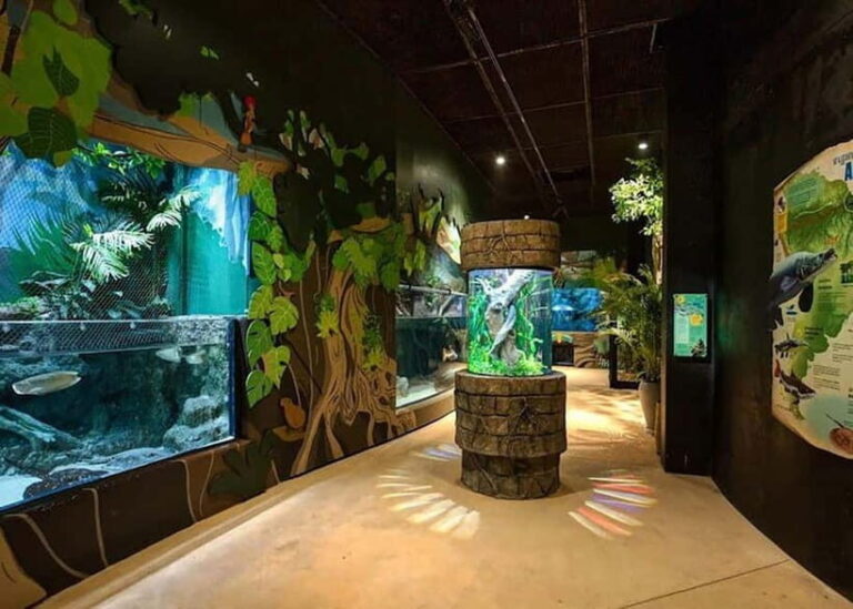 Siem Reap: Angkor Wildlife & Aquarium Entrance Ticket - What Is the Angkor Wildlife & Aquarium Experience?