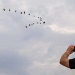 Siem Reap: Battambang Day Trip with French Tour Guide - Practical Details and Tips