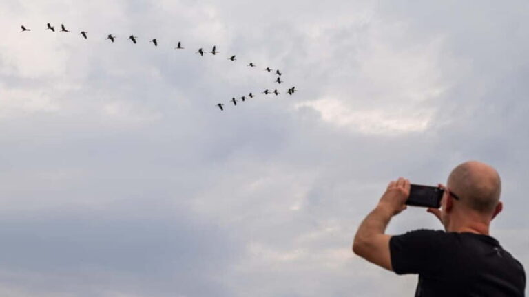 Siem Reap: Battambang Day Trip with French Tour Guide - Practical Details and Tips