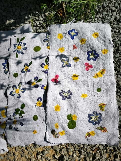 Siem Reap: Lotus Silk Farm - Guided Visit & 3 Craft Workshop - Authenticity and Unique Experiences from Reviews