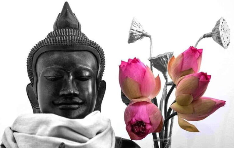 Siem Reap Lotus Silk Farm Tour with Pick Up downtown - Transportation and Practical Details