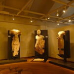 Sigiriya, Dambulla & Safari Day Tour from Colombo - Practical Details: How the Day Unfolds