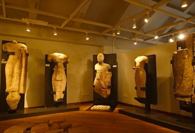 Sigiriya, Dambulla & Safari Day Tour from Colombo - Practical Details: How the Day Unfolds