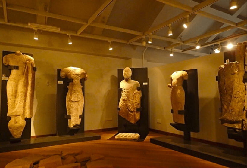 Sigiriya, Dambulla & Safari Day Tour from Colombo - Practical Details: How the Day Unfolds