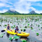 Sigiriya: Sunrise or Sunset Kayaking Tour - Who Should Try This Tour?