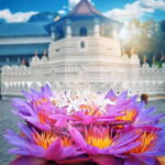 Sigiriya To Kandy Private Transfer: Visit Dambulla Temple - Herbal Spice Garden: An Aromatic Interlude