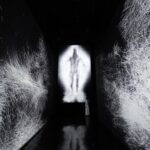 Singapore ArtScience Museum Admission Ticket - Practical Tips for Visiting