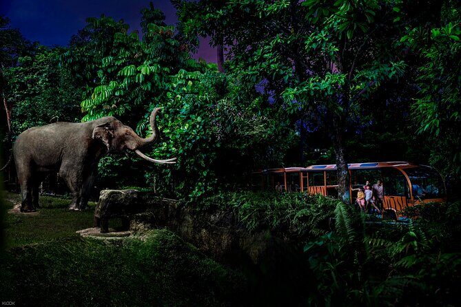 Singapore Night Safari Ticket Experience - Practical Details: What You Need to Know