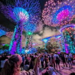 Singapore River Cruise and 2 Must-see Water Light Shows - The Value of This Experience