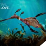 Singapore: Singapore Oceanarium Entrance Ticket - A Closer Look at the Singapore Oceanarium