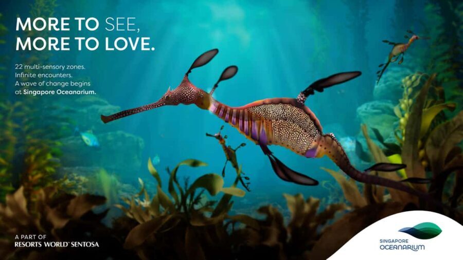 Singapore: Singapore Oceanarium Entrance Ticket - A Closer Look at the Singapore Oceanarium