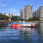Singapore Southern Islands Speedboat Guided Tour - The Sum Up