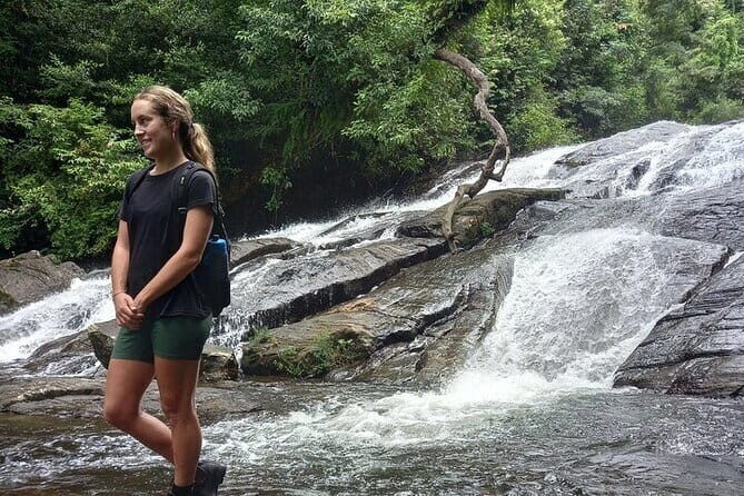 Sinharaja Rain Forest and Tea Factory Day Tour - Visiting the Handunugoda Tea Estate