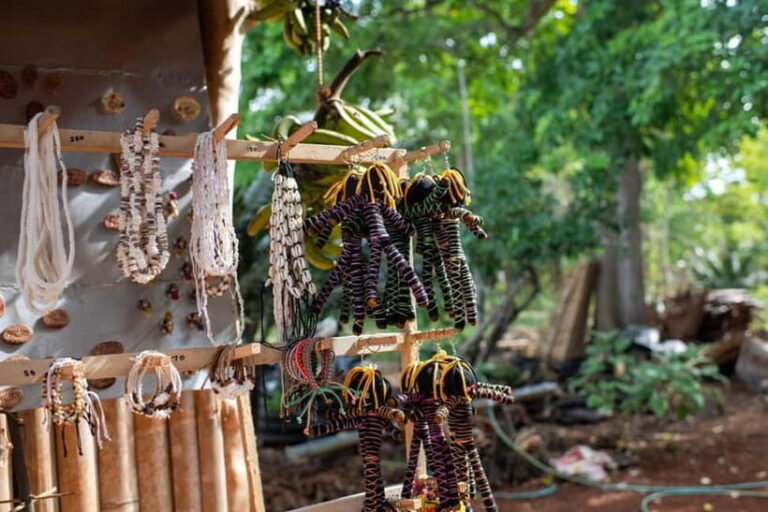 Siquijor Day Tour from Bohol- Shared Tour - What to Expect from the Siquijor Day Tour