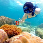 Snorkel & Chill: Nemo Island Trip from Pattaya - What’s the Tour Itinerary Like?