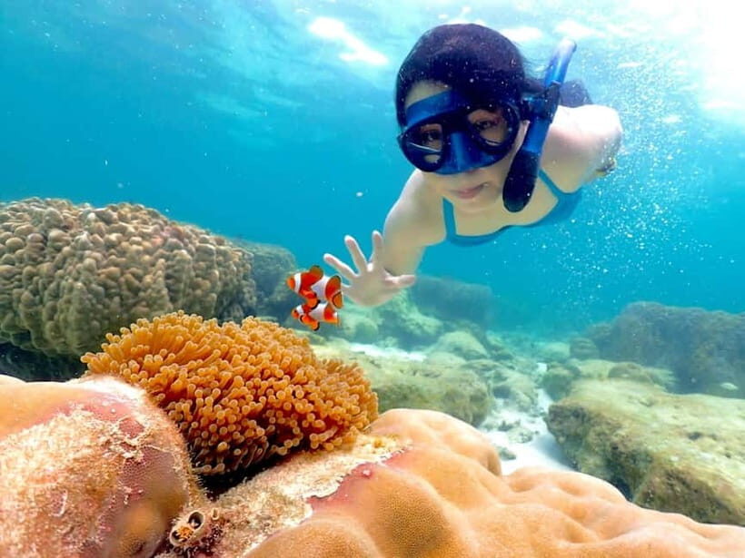 Snorkel & Chill: Nemo Island Trip from Pattaya - What’s the Tour Itinerary Like?