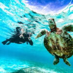 Snorkeling Activity in Okinawa Miyako Japan - Why This Snorkeling Tour Is Worth It